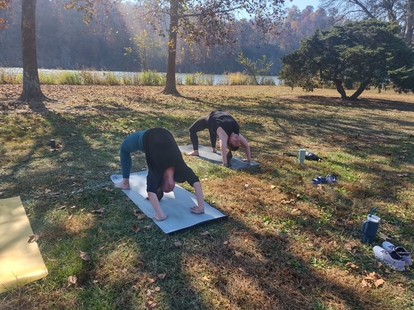 Yoga with Ali - Knoxville Hospital Doula - 1